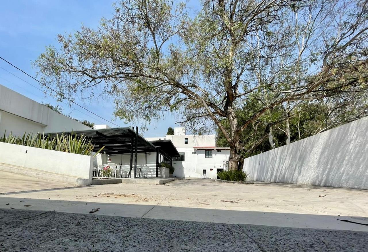 Casa Bonsai Bed and Breakfast Mexico City Exteriör bild