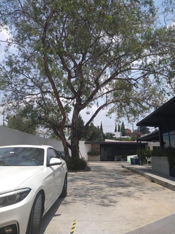 Casa Bonsai Bed and Breakfast Mexico City Exteriör bild